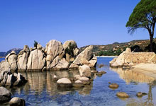 球速体育-Faker巅峰对决，大坂直美与90激战TES分钟，战术调整胜负难料！的简单介绍